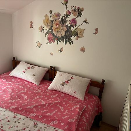 Elena Apartment Plužine Zewnętrze zdjęcie