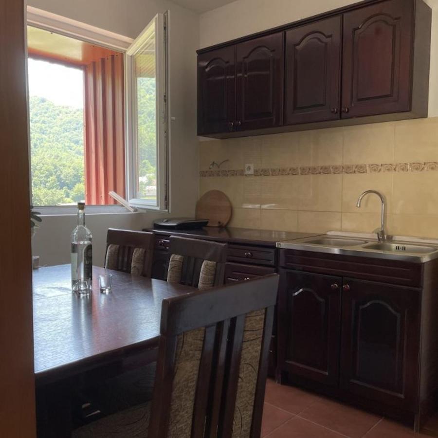 Elena Apartment Plužine Zewnętrze zdjęcie